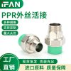 绿色ppr外丝活接